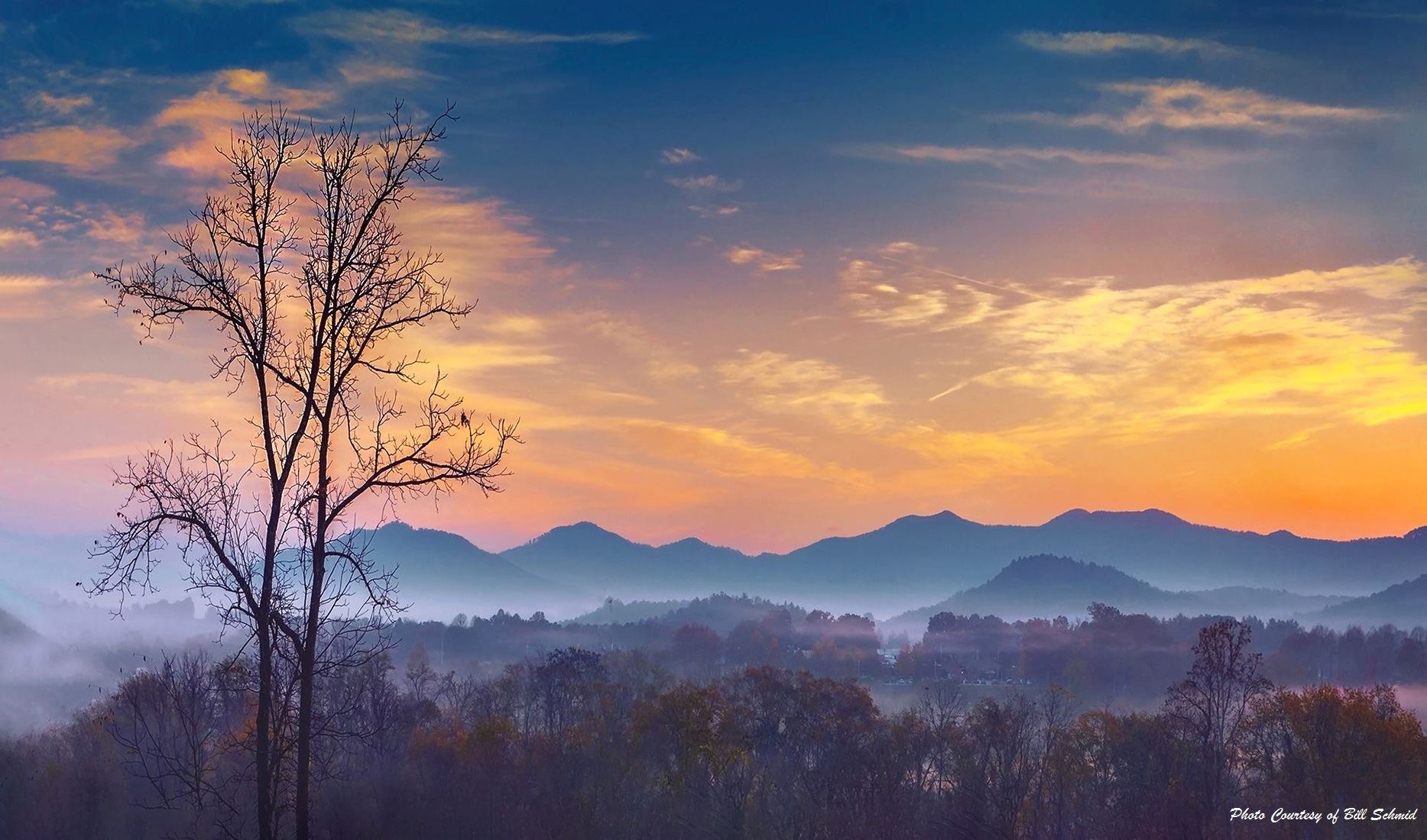 Peachtree At Sunrise